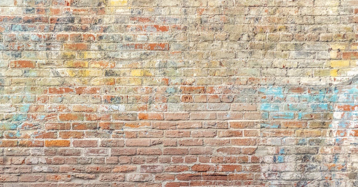 gallery-wall-art-inspo-448.jpeg